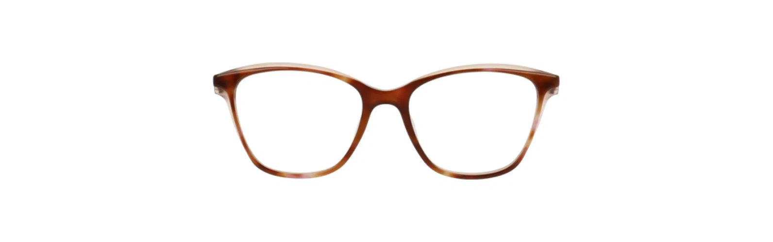 Trina Turk TTARQUETTE Eyeglasses - view 6